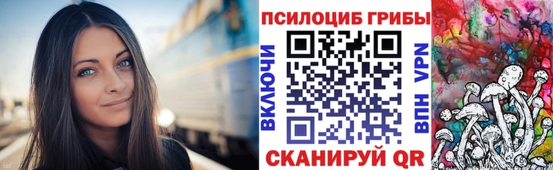Псилоцибиновые грибы прущие грибы  как найти наркотики  Красный Кут 